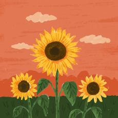 Tournesol