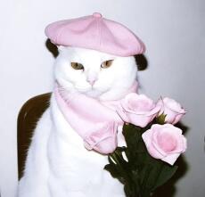 primrose