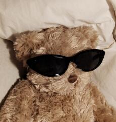 Gấu nâu thích làm bánh