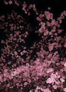 ☘️❄️🫧🌱