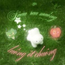 Lá rau muống trên luống ớt chuông