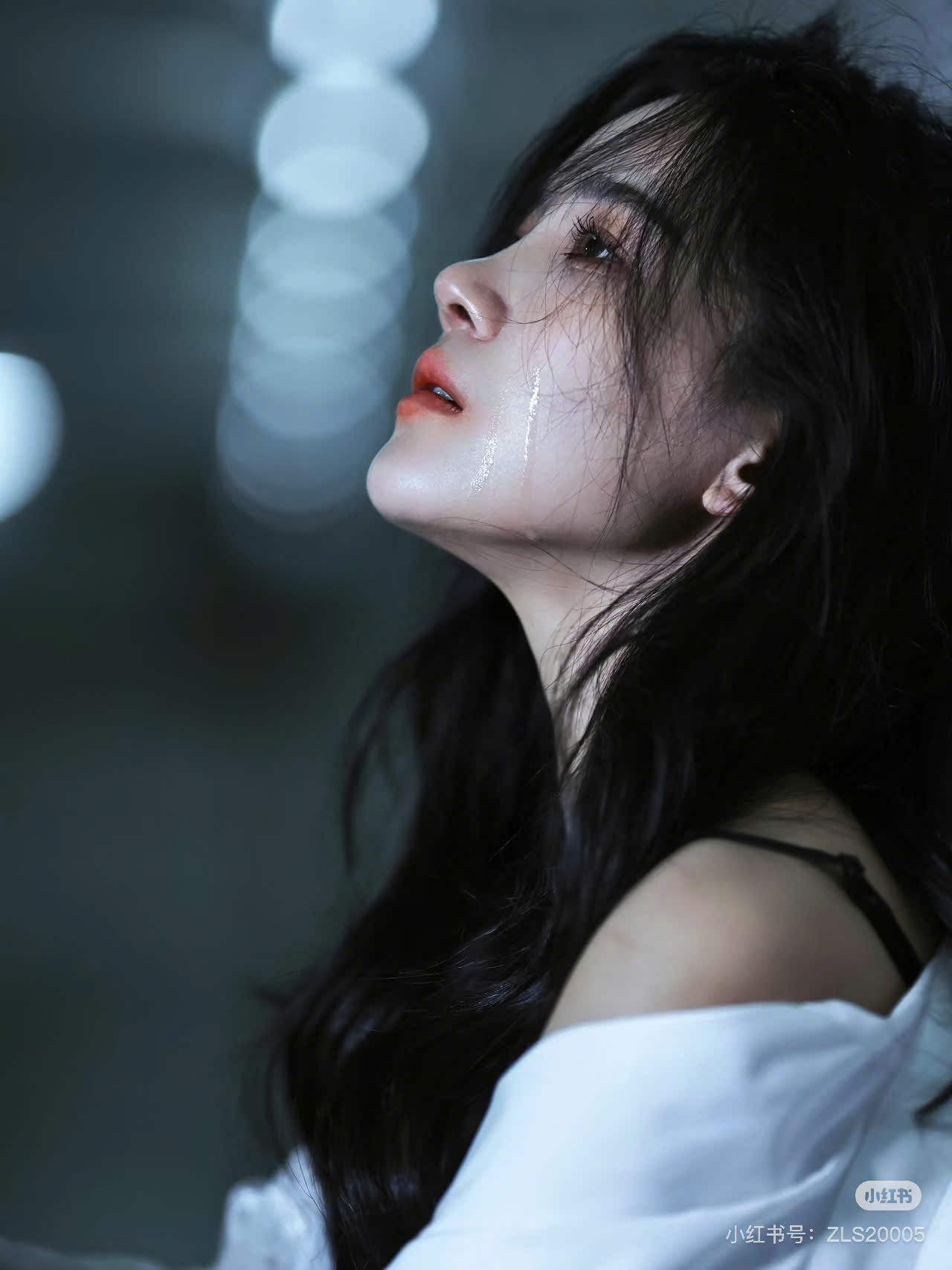 Trọn Một Đời Gửi Gió Mang Đi