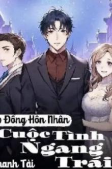 Chồng Tôi Là Gay