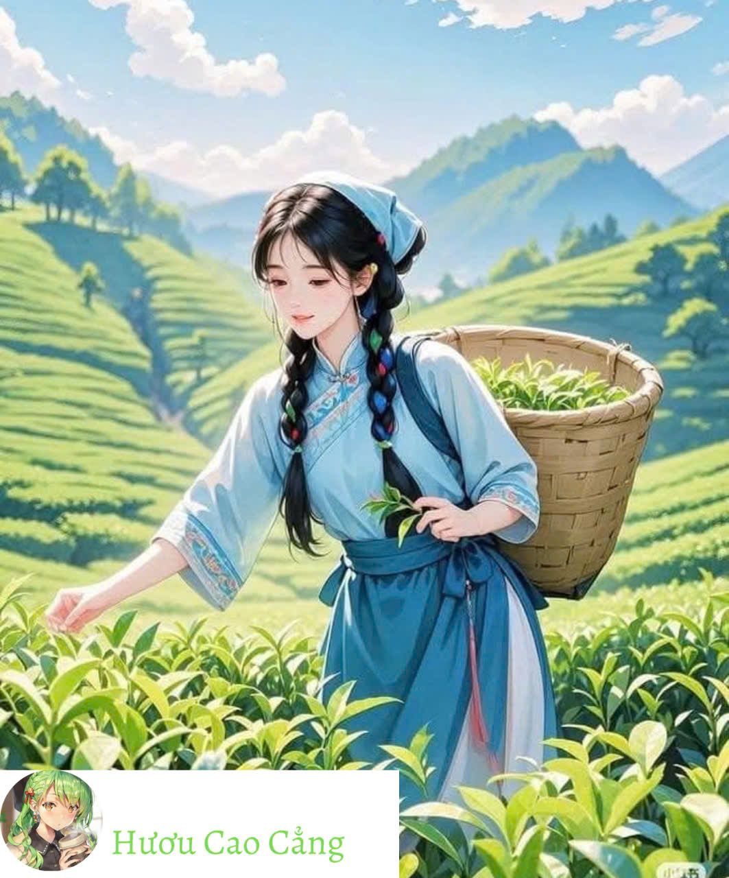 Đại tiểu thư tìm được người cưng chiều