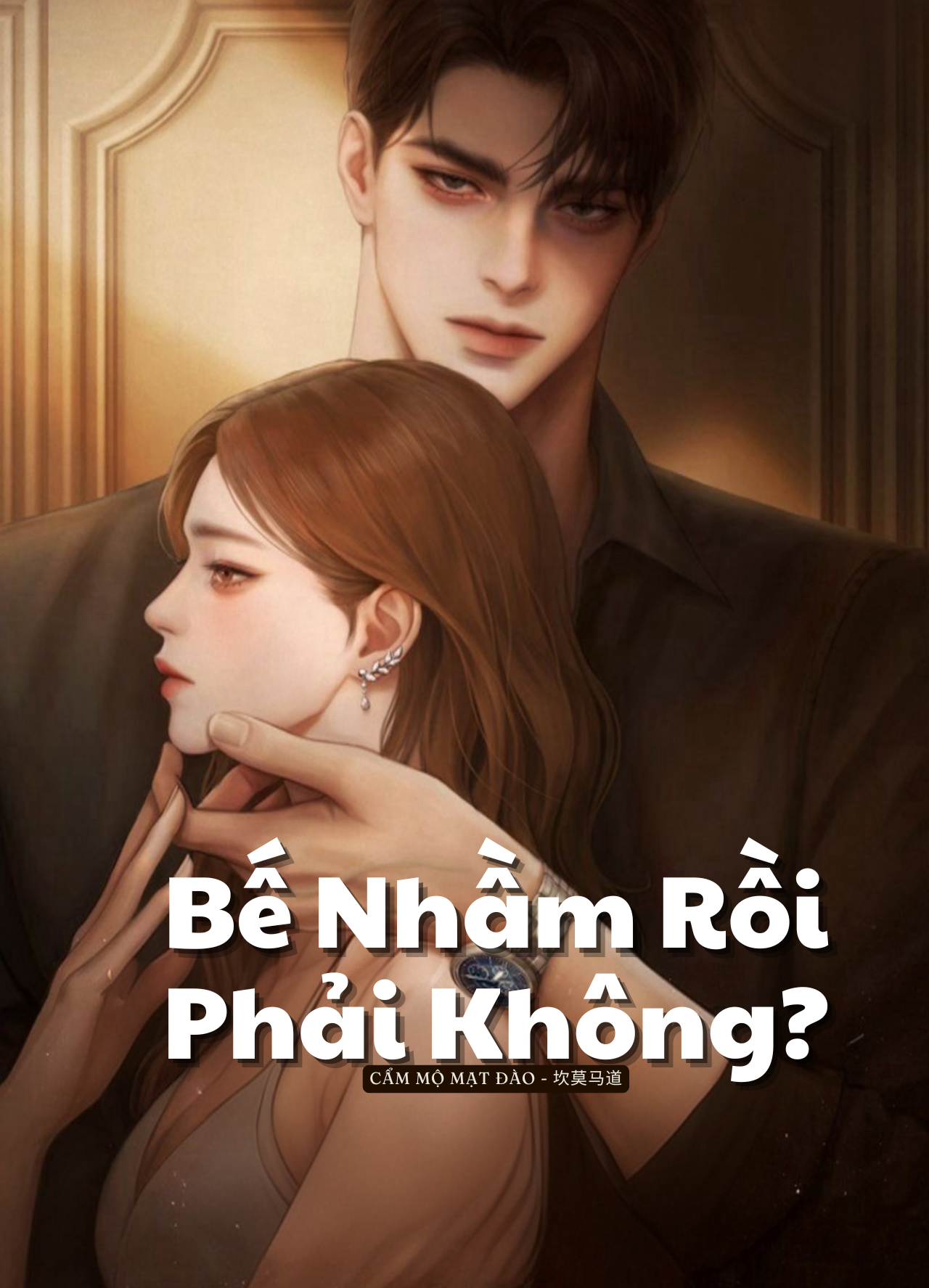 Bế Nhầm Rồi Phải Không?