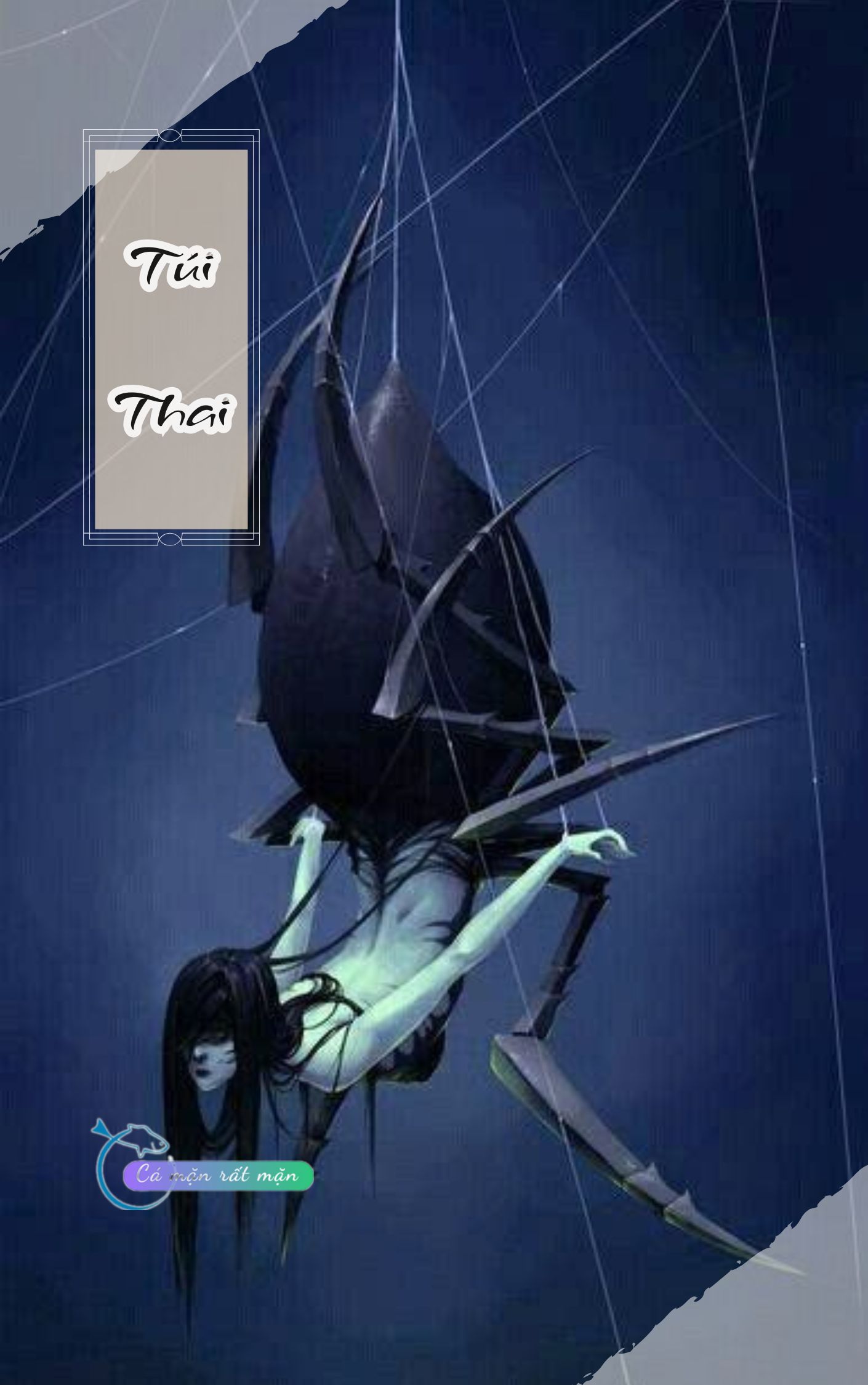 Túi Thai