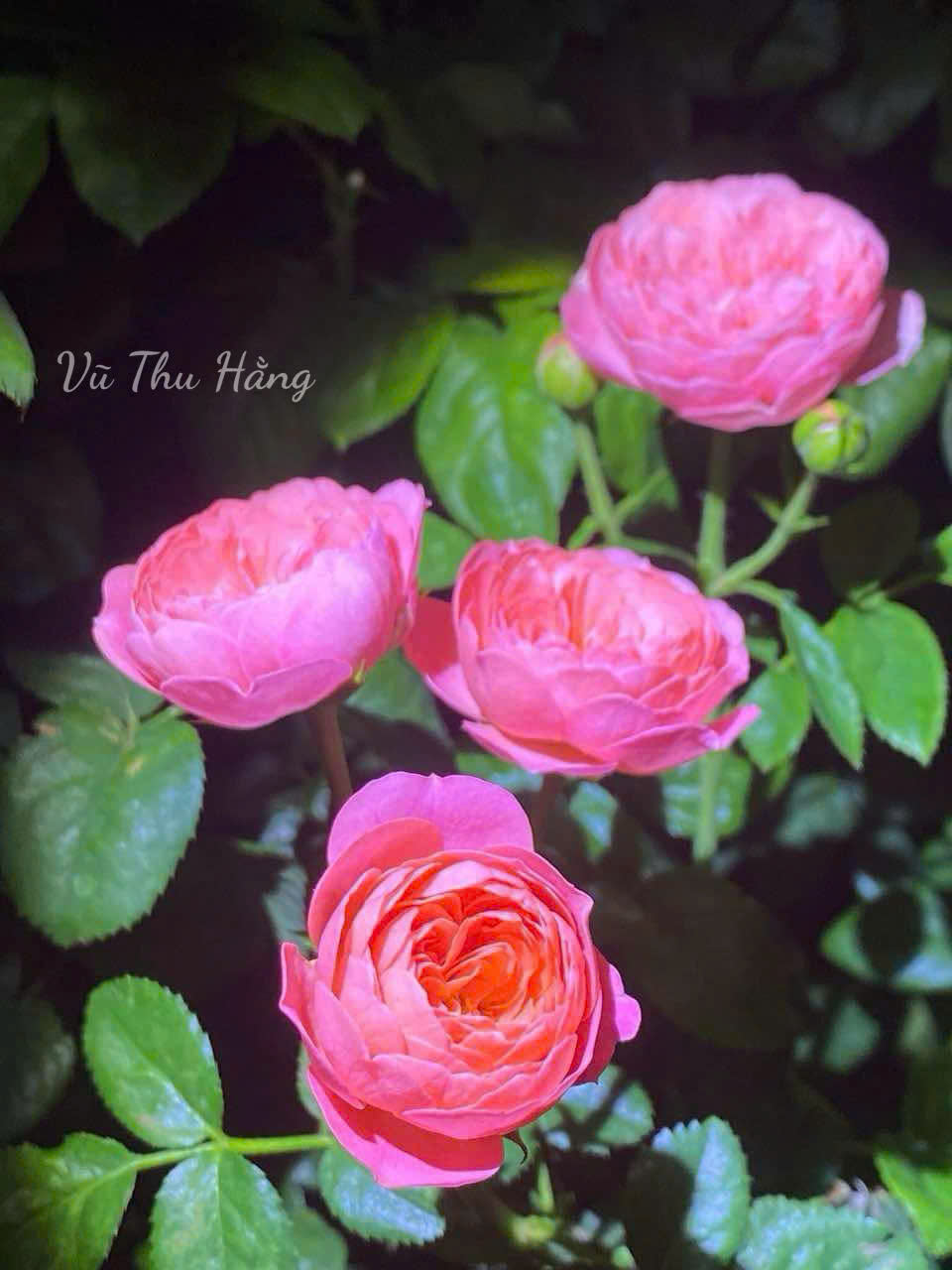 May mắn là không bỏ lỡ