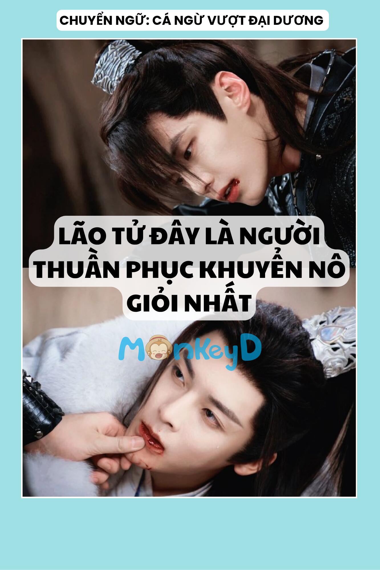 LÃO TỬ ĐÂY LÀ NGƯỜI THUẦN PHỤC KHUYỂN NÔ GIỎI NHẤT