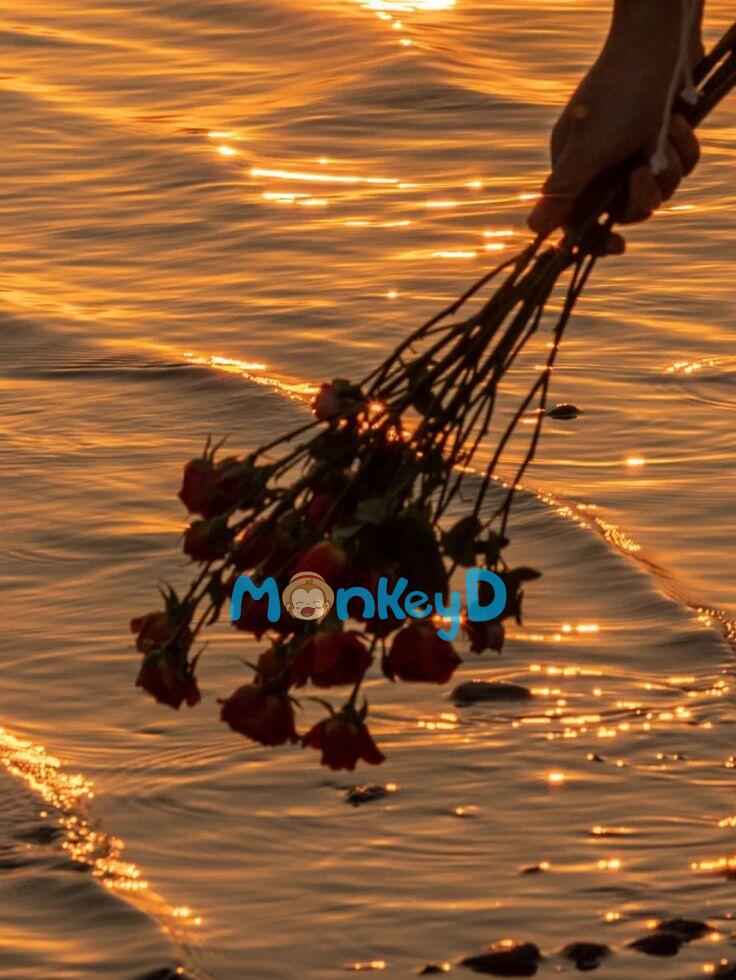 Hệ thống bắt tôi đi thả thính