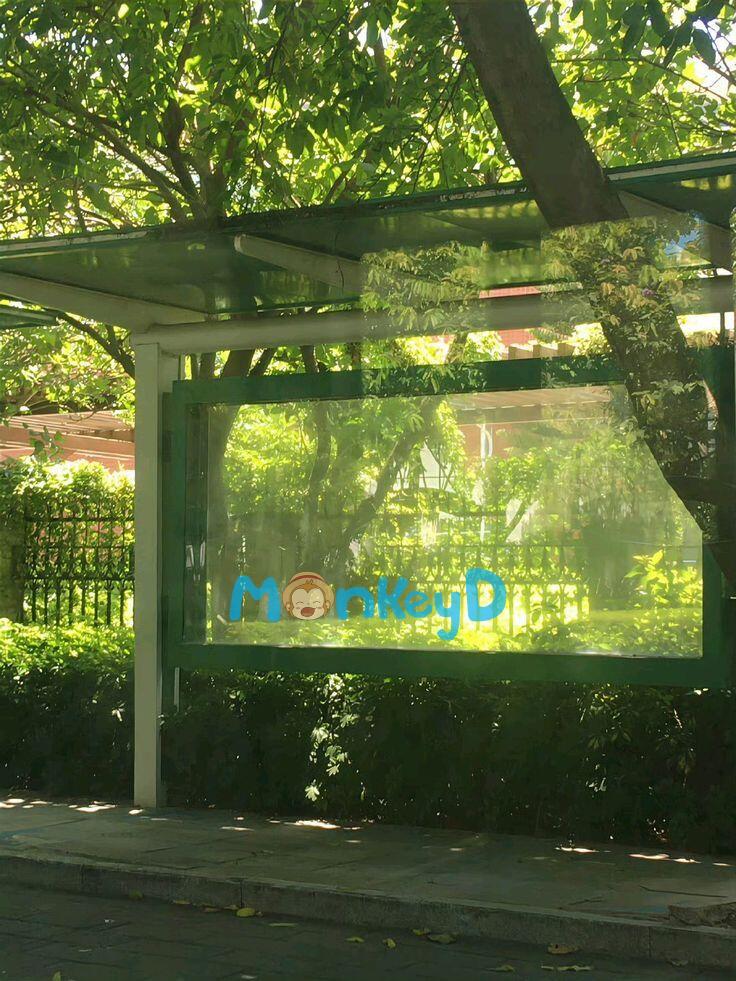 Tán cây theo gió, che mắt người.