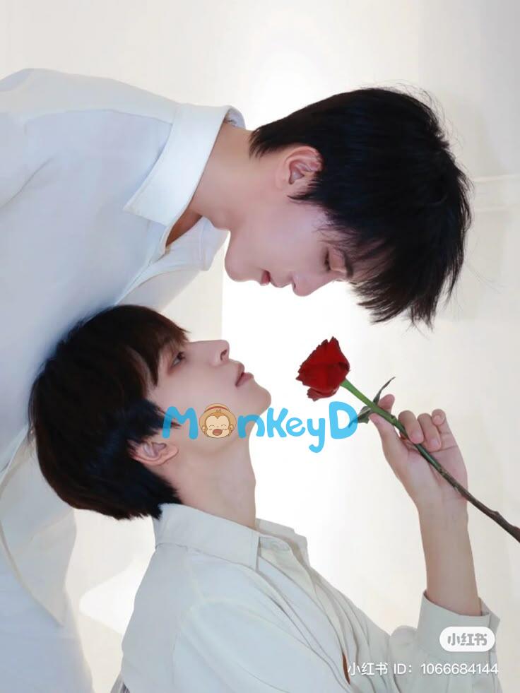 Hoa Quỳnh Trong Sương Đêm