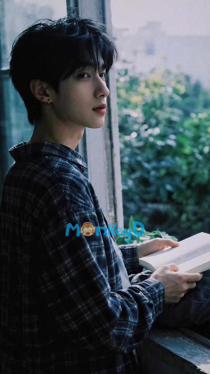 Hồi Ứng Năm Năm