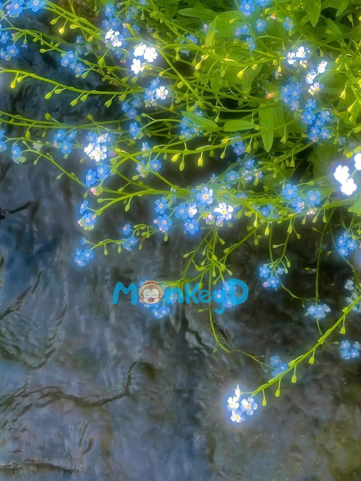 CÁI GIÁ CỦA SỰ PHẢN BỘI