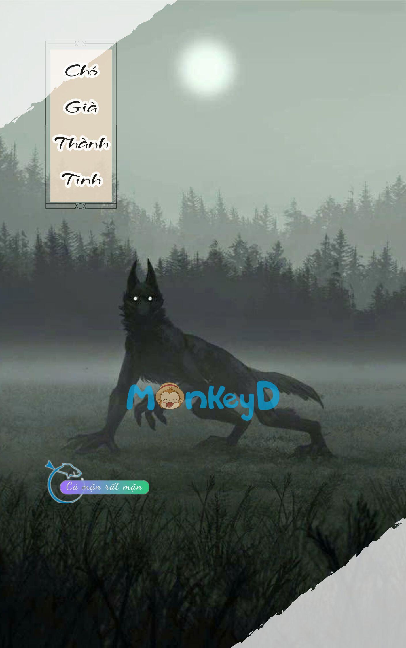 Chó Già Thành Tinh