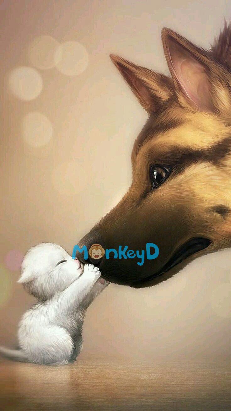 Mèo Xinh Chinh Phục Sói Ngốc (Phần 1)