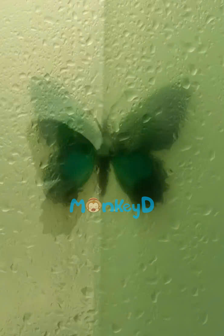 Người Vợ Với Gương Mặt Thay Đổi