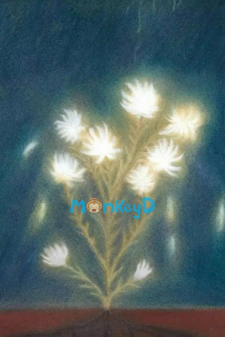 Lời Dối Trá Của Chồng.