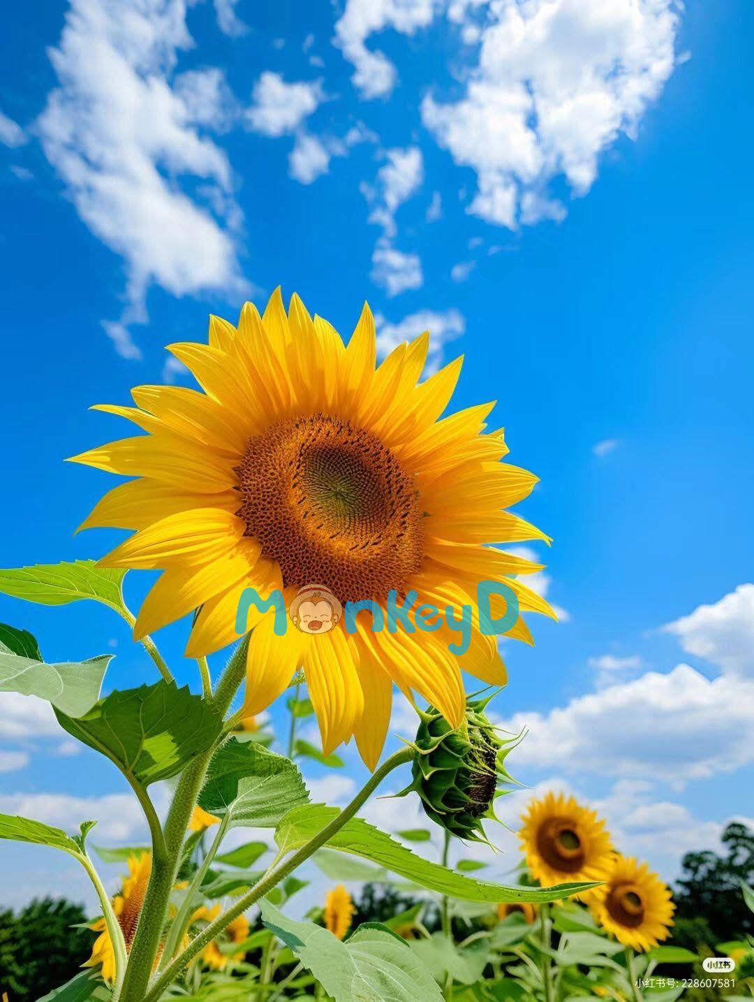 SỰ THIÊN VỊ CỦA CHA MẸ