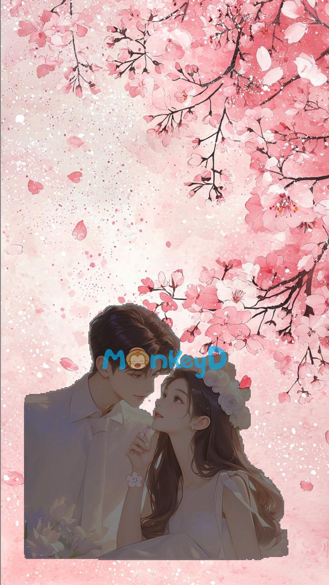 Hôm Nay Lại Lại Lại Không Có Ly Hôn