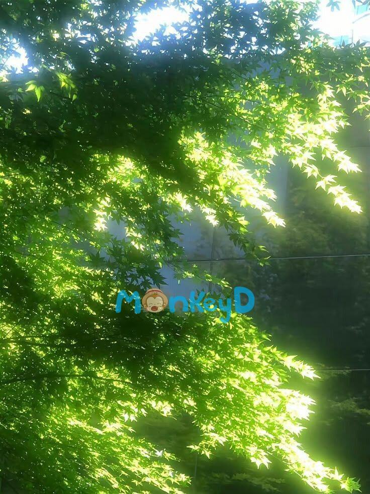 Phòng học chết chóc