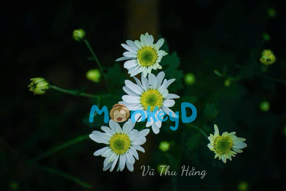 LÝ DO CHIA TAY: GIẢI CỨU THẾ GIỚI