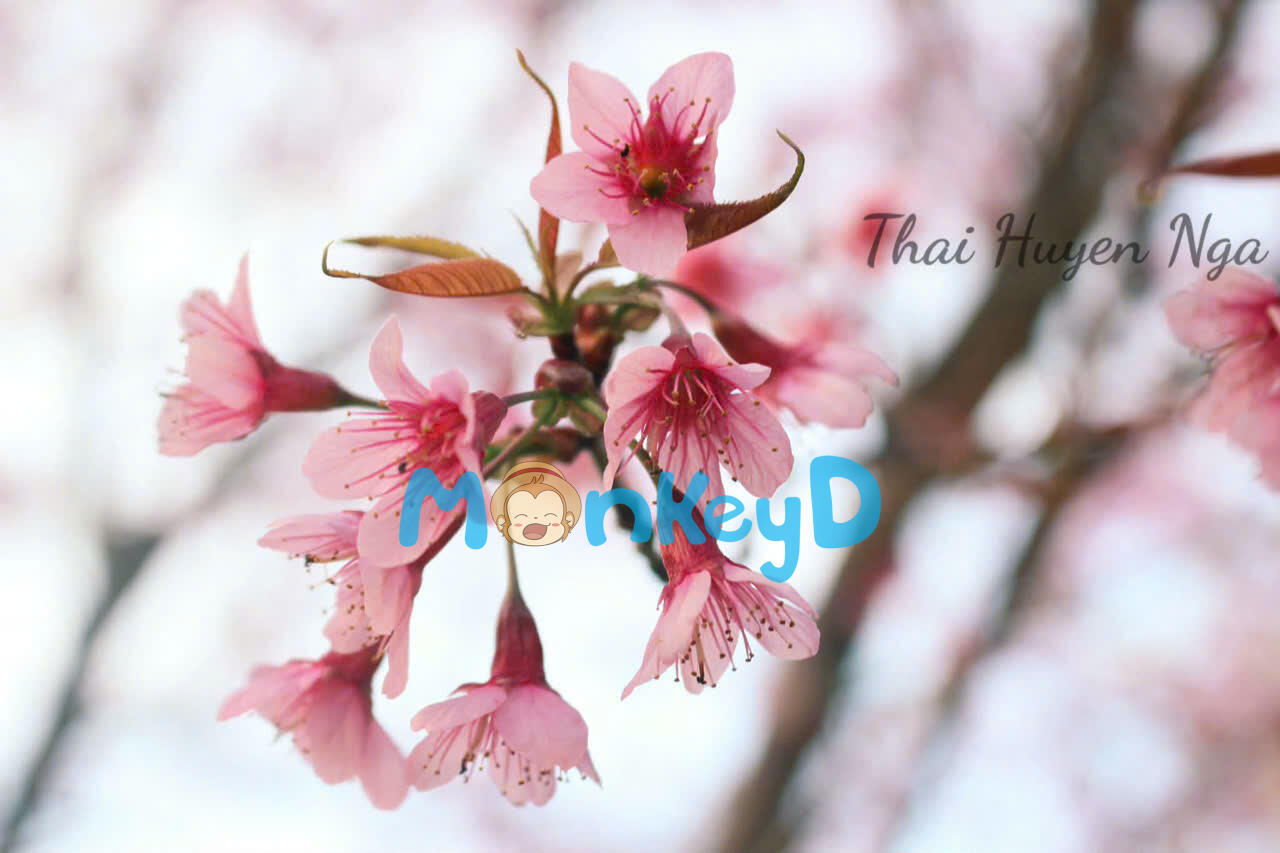 BÍ MẬT BẠN THÂN