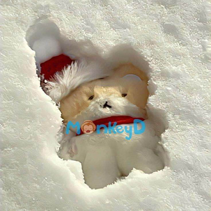 Người tôi yêu thầm đã bị thay thế