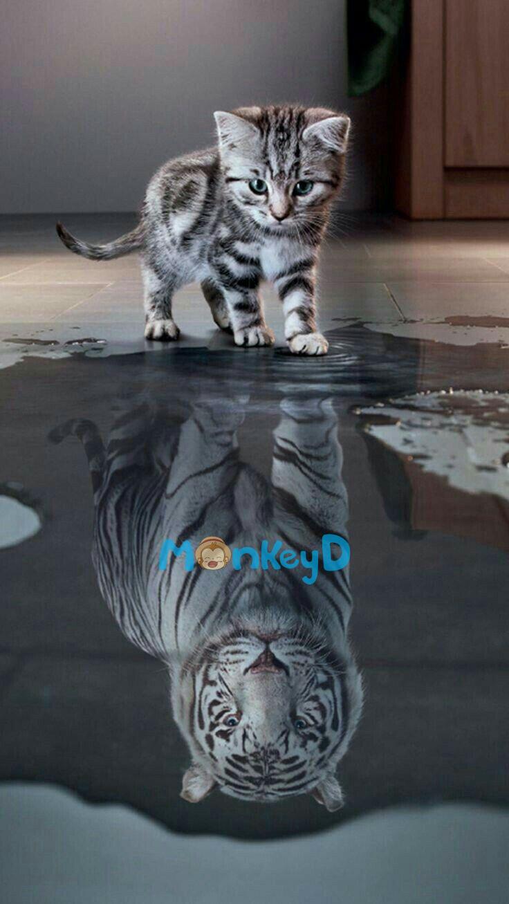 Kẻ Bắt Cóc Chọc Trúng Nàng Điên