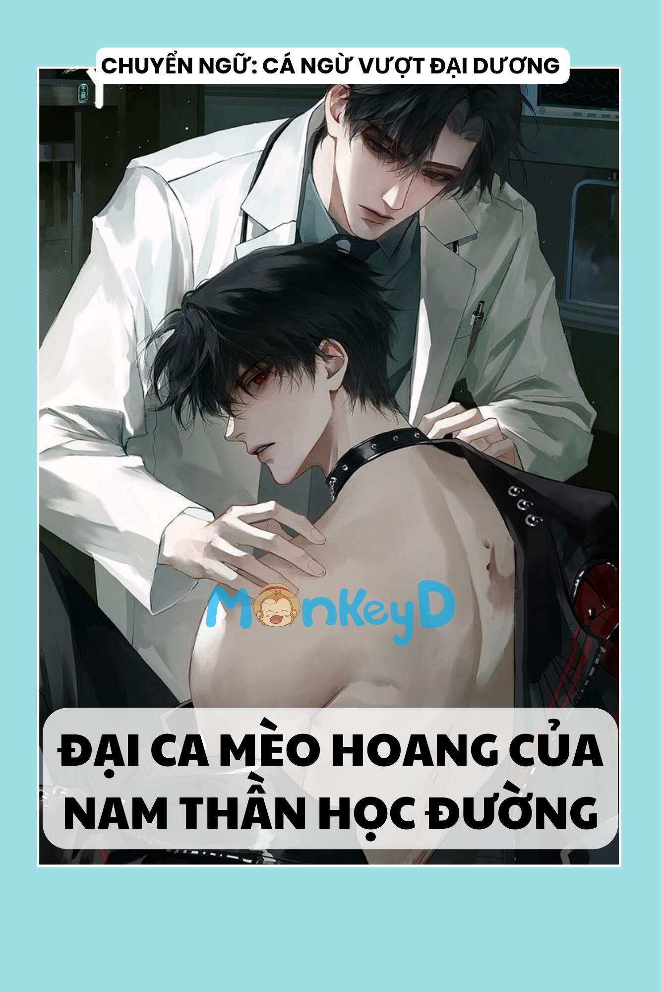 ĐẠI CA MÈO HOANG CỦA NAM THẦN HỌC ĐƯỜNG