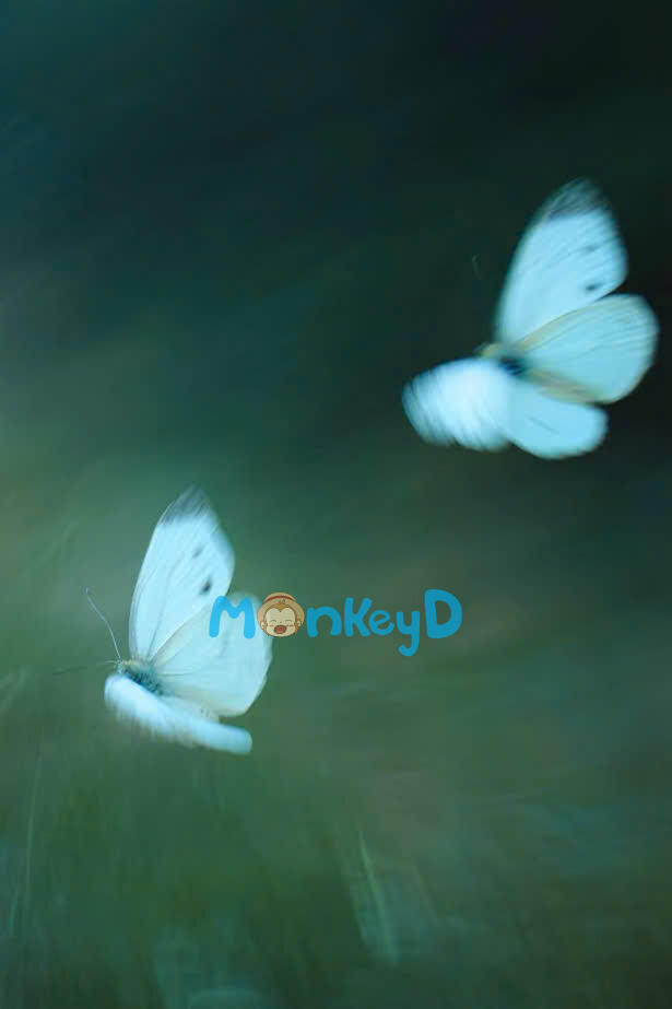 Trò Chơi Tử Thần