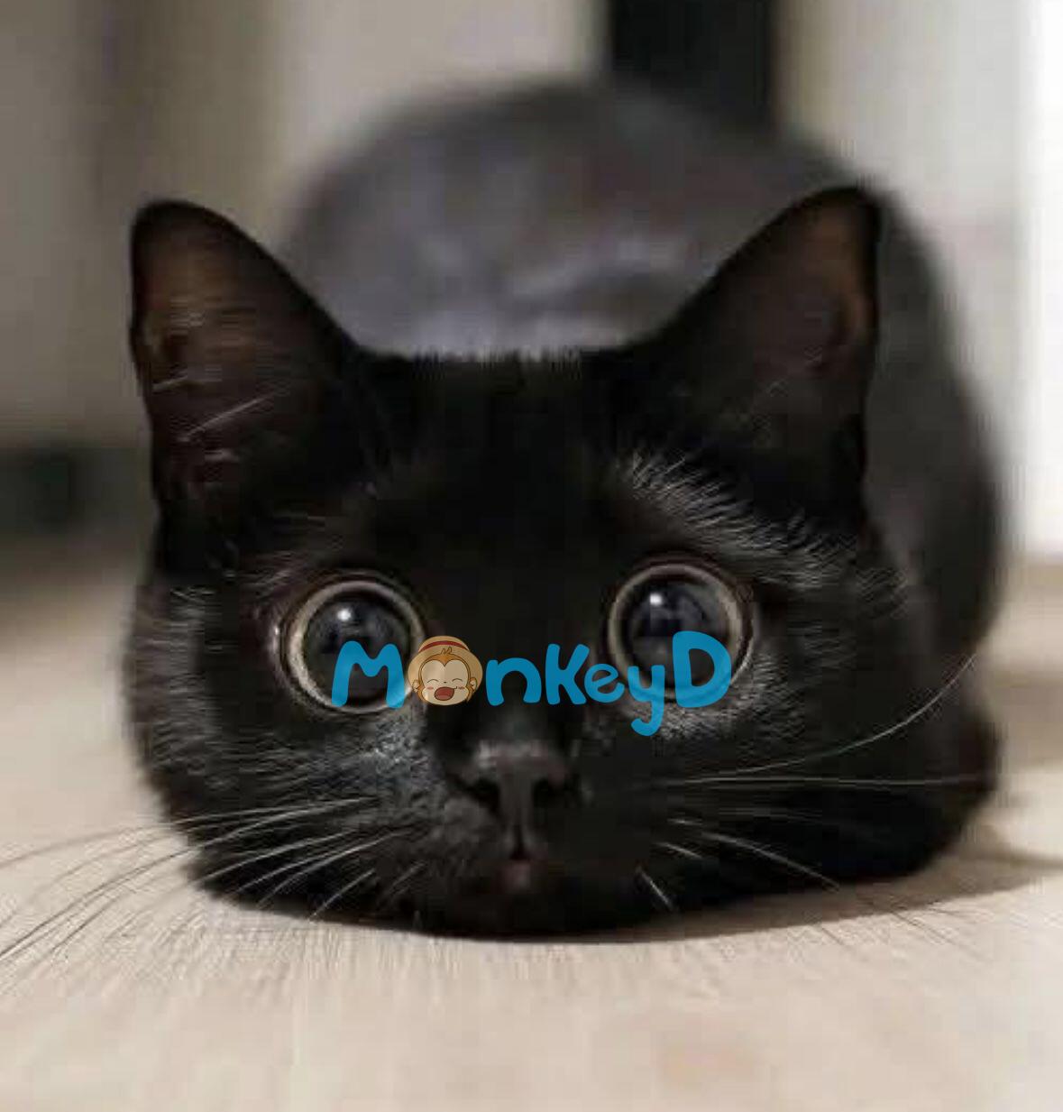 Nhật Ký Cải Tạo Nam Phụ Phản Diện