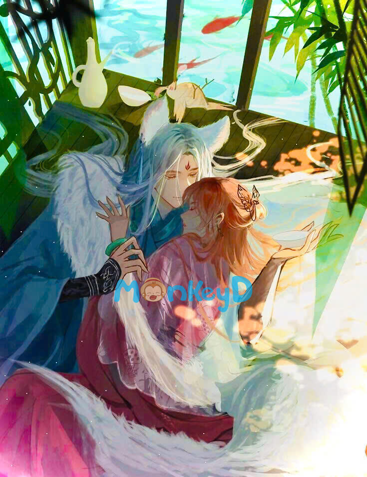 TA CÓ NUÔI MỘT CON HỒ LY