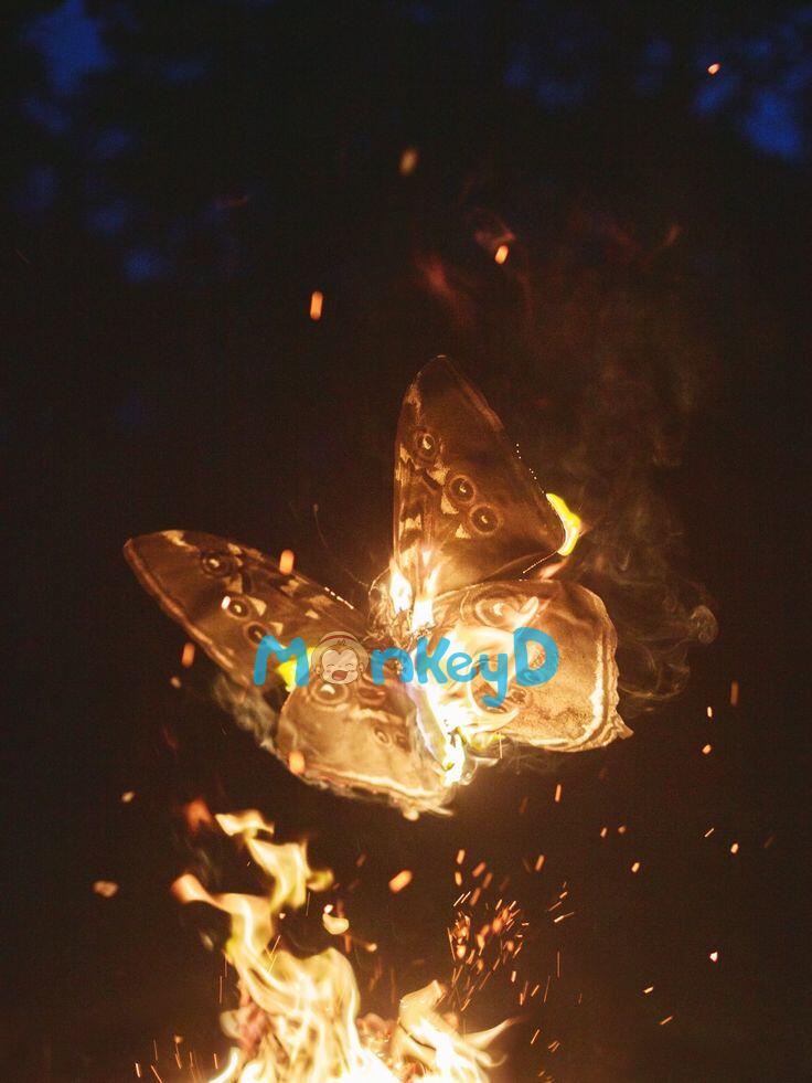 TRO TÀN RỰC CHÁY