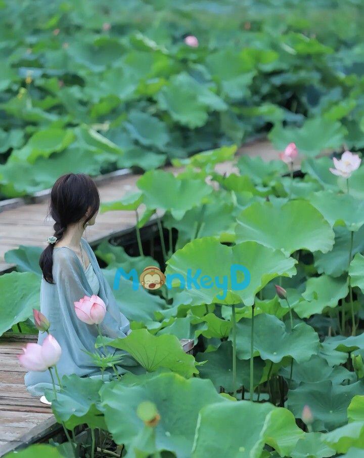 NAY ĐÃ KHÔNG CÒN NHƯ XƯA