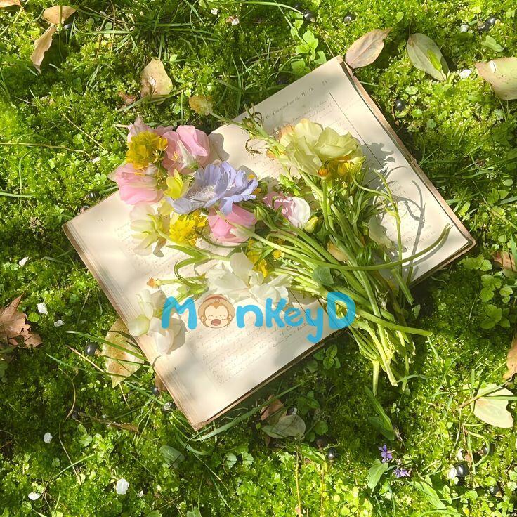 CẨM NANG PHÁT ĐIÊN TRONG TRUYỆN PO