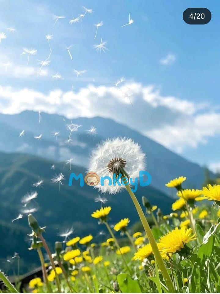 BỒ CÔNG ANH BẤT TỬ