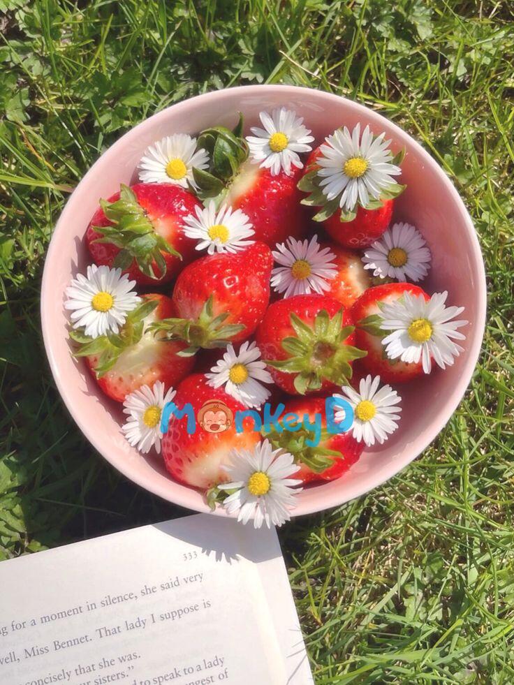 BỐI BỐI CÓ SIÊU NĂNG LỰC