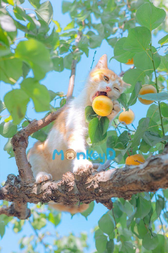 BẠN CÙNG PHÒNG CỰC PHẨM CỦA TÔI