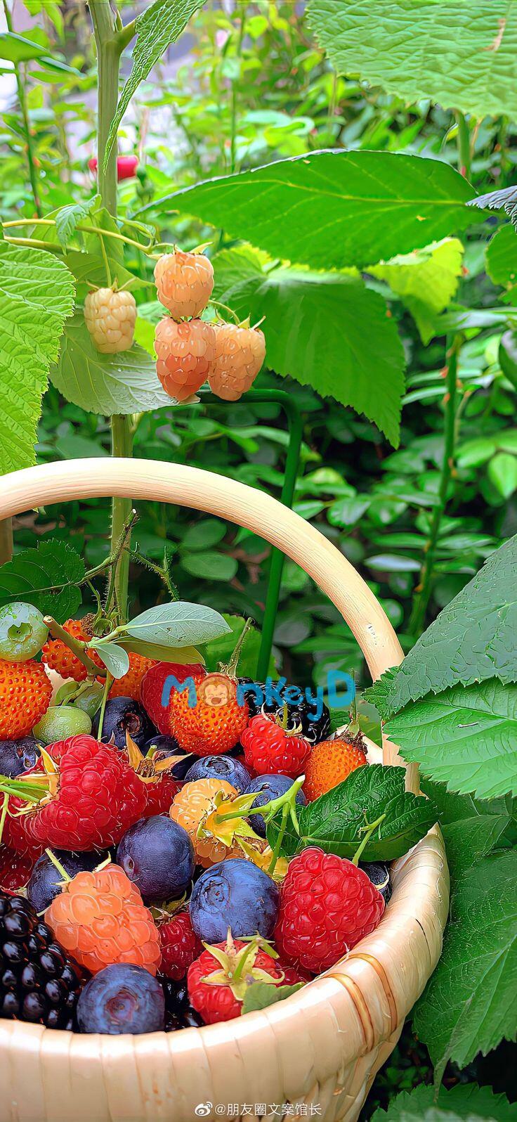 SAU KHI ĐOẠT LẠI THÂN THỂ