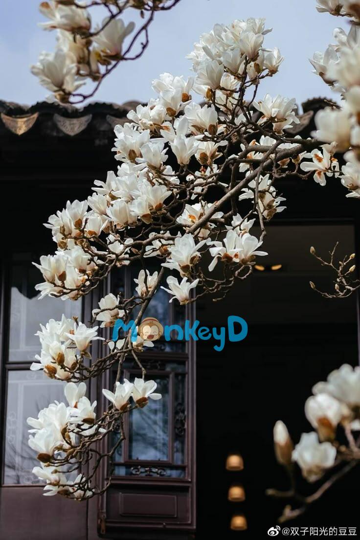 PHẬT KHÔNG ĐỘ TÔI