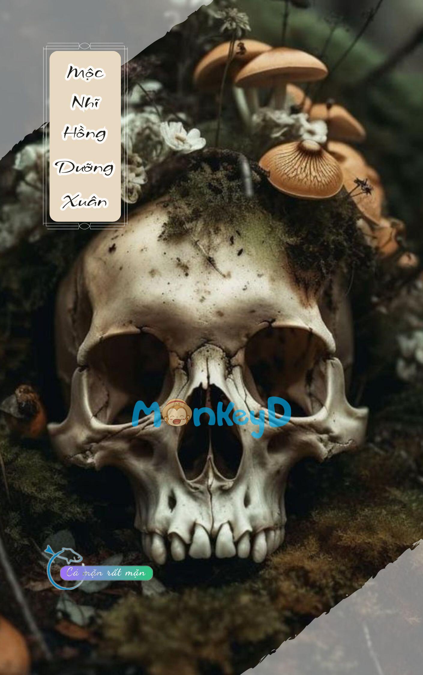 Mộc Nhĩ Hồng Dưỡng Xuân