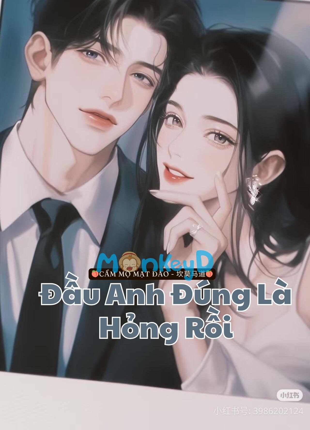 Đầu Anh Đúng Là Hỏng Rồi