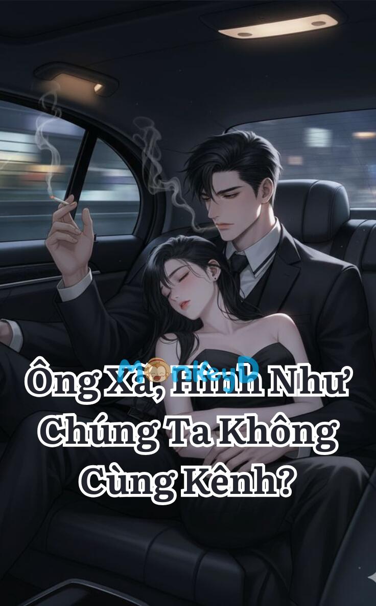 Ông Xã, Hình Như Chúng Ta Không Cùng Kênh?