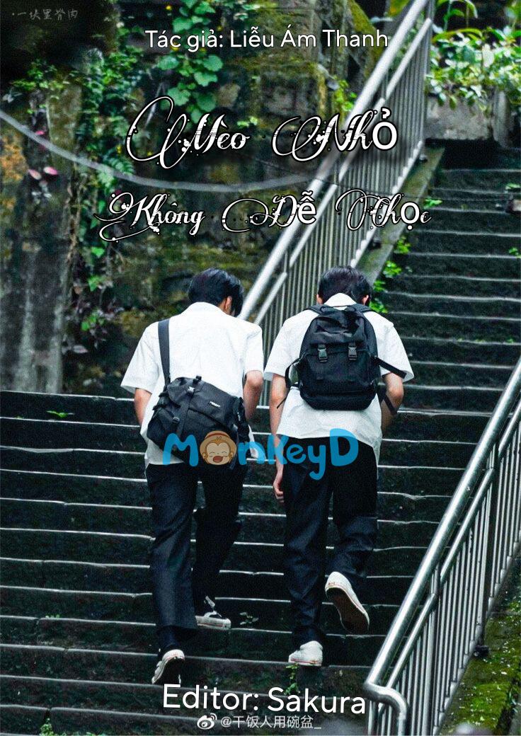 Mèo Nhỏ Không Dễ Chọc