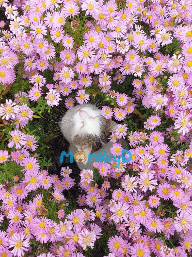 Năm 18 Tuổi, Tôi Quyết Định Ngừng Thích Anh