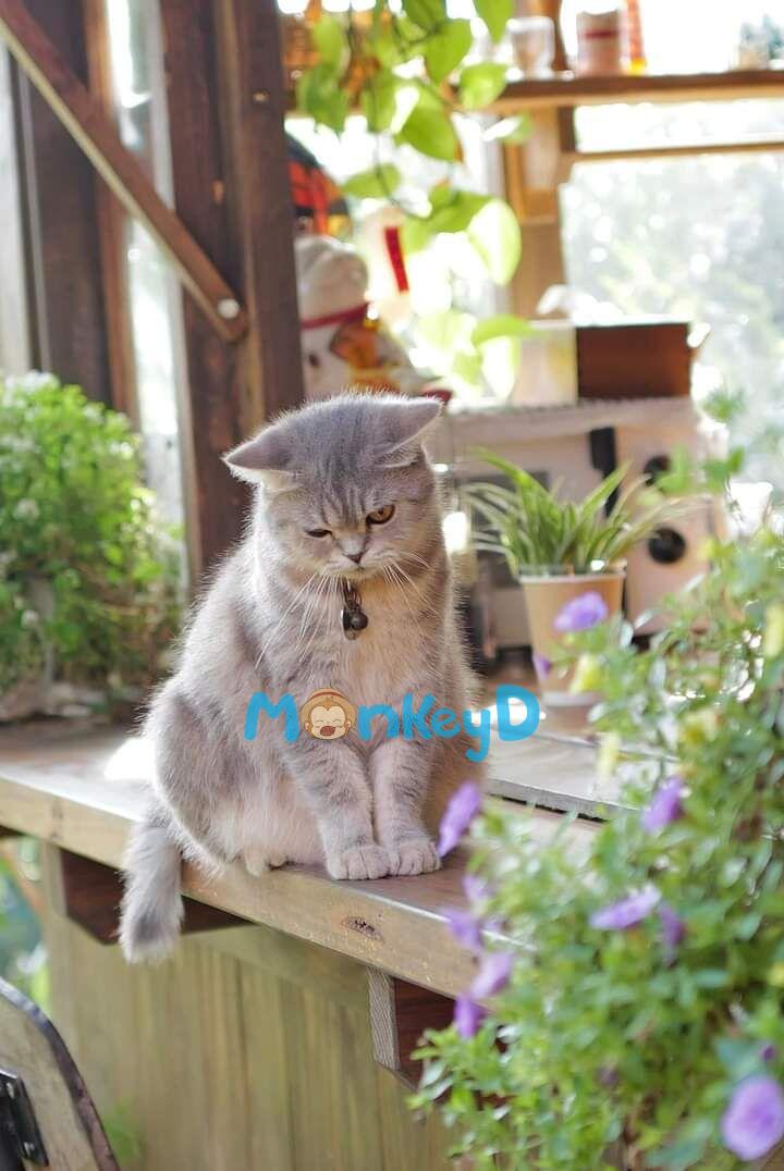 Ta Xuyên Vào Một Cuốn Tiểu Thuyết Ngược Luyến Cổ Hủ