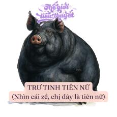 Trư Tinh Tiên Nữ