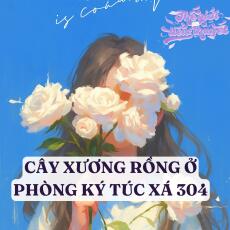CÂY XƯƠNG RỒNG Ở PHÒNG KTX 304