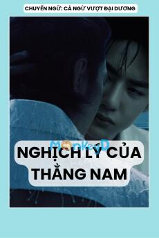 NGHỊCH LÝ CỦA THẲNG NAM
