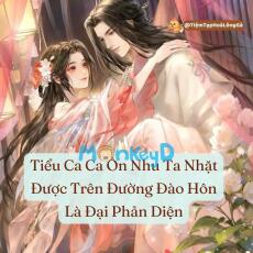 Tiểu Ca Ca Ôn Nhu Ta Nhặt Được Trên Đường Đào Hôn Là Đại Phản Diện